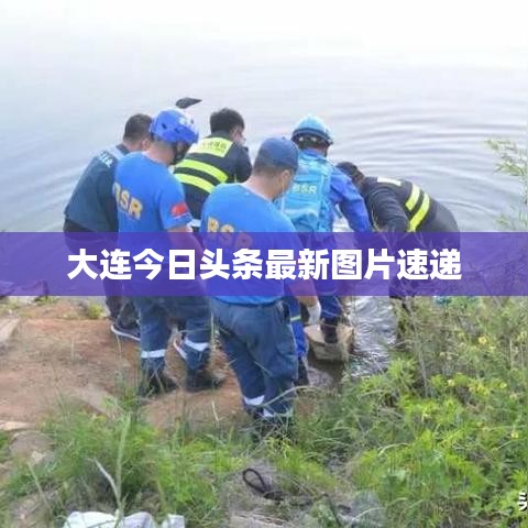大连今日头条最新图片速递