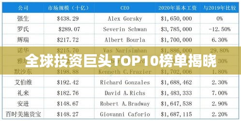 全球投资巨头TOP10榜单揭晓
