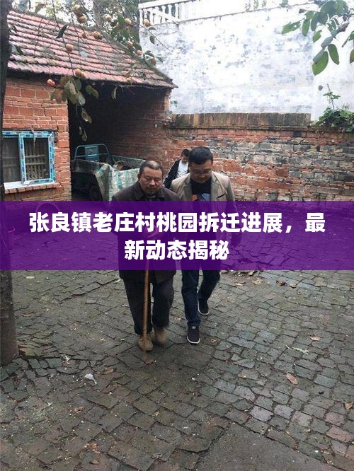 张良镇老庄村桃园拆迁进展，最新动态揭秘