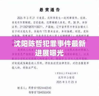 沈阳陈哲犯罪事件最新进展曝光