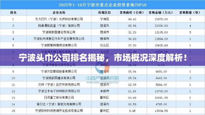 宁波头巾公司排名揭秘，市场概况深度解析！