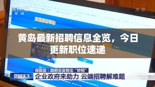 黄岛最新招聘信息全览，今日更新职位速递
