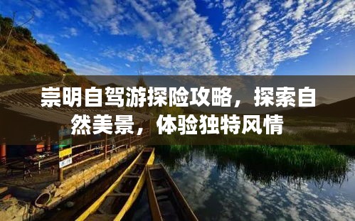 崇明自驾游探险攻略，探索自然美景，体验独特风情