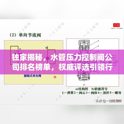 独家揭秘，水管压力控制阀公司排名榜单，权威评选引领行业趋势！