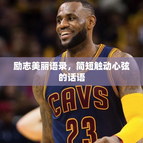 励志美丽语录，简短触动心弦的话语