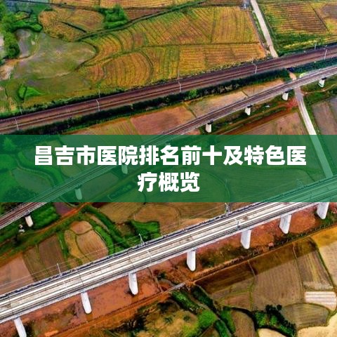昌吉市医院排名前十及特色医疗概览