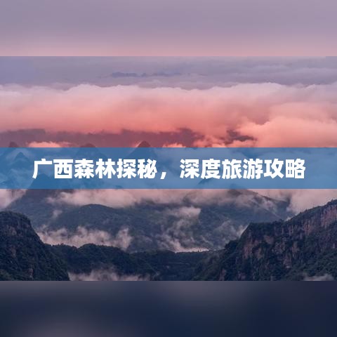 广西森林探秘，深度旅游攻略