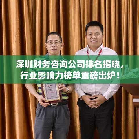 深圳财务咨询公司排名揭晓，行业影响力榜单重磅出炉！