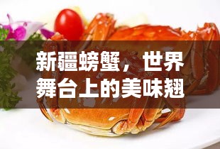 新疆螃蟹，世界舞台上的美味翘楚，排名令人瞩目！