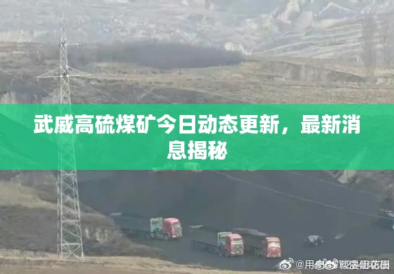 炙手可热