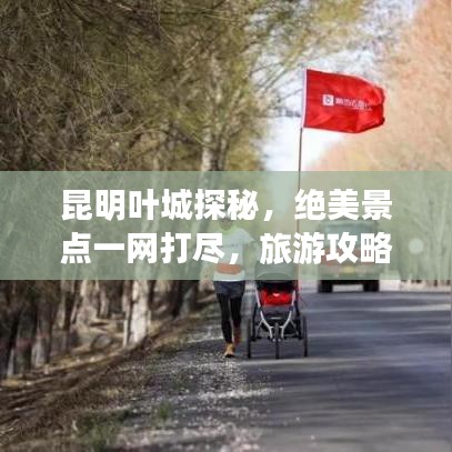 昆明叶城探秘，绝美景点一网打尽，旅游攻略大揭秘！