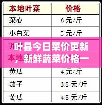 叶县今日菜价更新，新鲜蔬菜价格一网打尽！