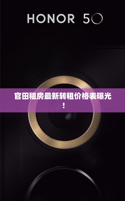 官田租房最新转租价格表曝光！