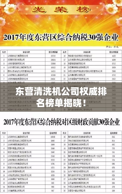 东营清洗机公司权威排名榜单揭晓！