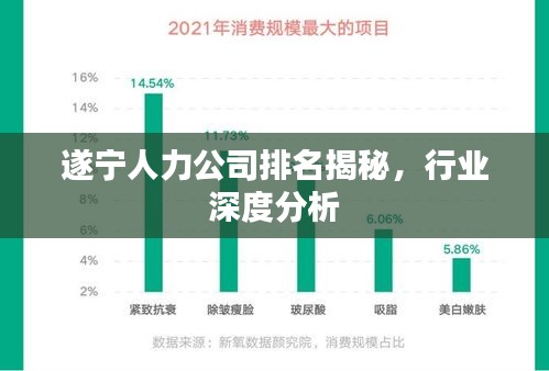 遂宁人力公司排名揭秘，行业深度分析