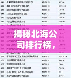 揭秘北海公司排行榜，企业影响力与实力一览