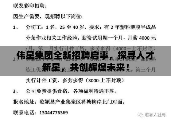 伟星集团全新招聘启事，探寻人才新星，共创辉煌未来！