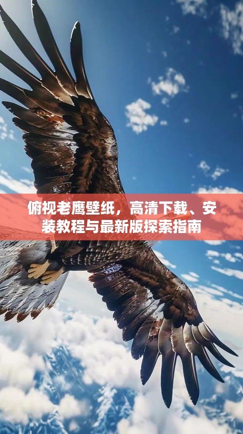 俯视老鹰壁纸，高清下载、安装教程与最新版探索指南