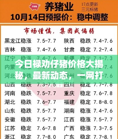 新闻动态 第14页