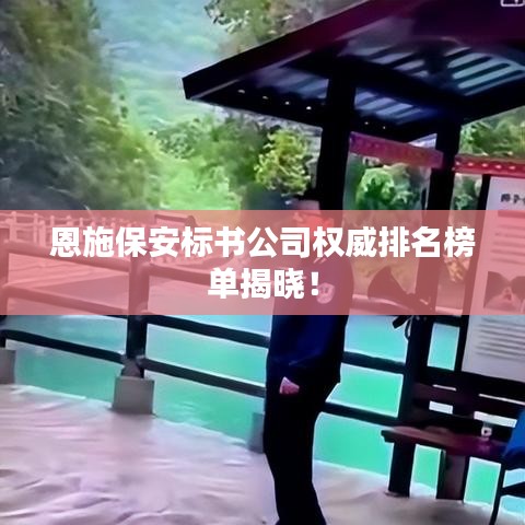 恩施保安标书公司权威排名榜单揭晓！