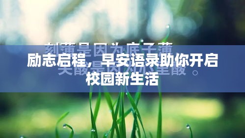 远山芙蓉