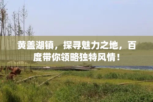 黄盖湖镇，探寻魅力之地，百度带你领略独特风情！