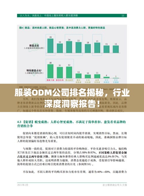 服装ODM公司排名揭秘，行业深度洞察报告！