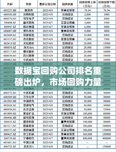 数据宝回购公司排名重磅出炉，市场回购力量大揭秘！