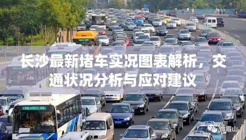长沙最新堵车实况图表解析，交通状况分析与应对建议