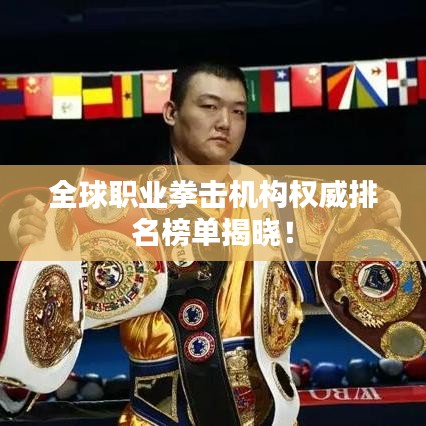 全球职业拳击机构权威排名榜单揭晓！