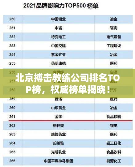 北京搏击教练公司排名TOP榜，权威榜单揭晓！
