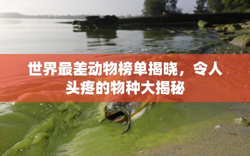 世界最差动物榜单揭晓，令人头疼的物种大揭秘