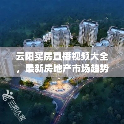 云阳买房直播视频大全，最新房地产市场趋势与机遇探索