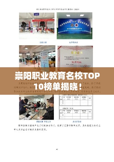 崇阳职业教育名校TOP10榜单揭晓！