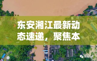 悬梁刺股