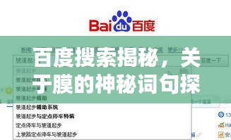 百度搜索揭秘，关于膜的神秘词句探索