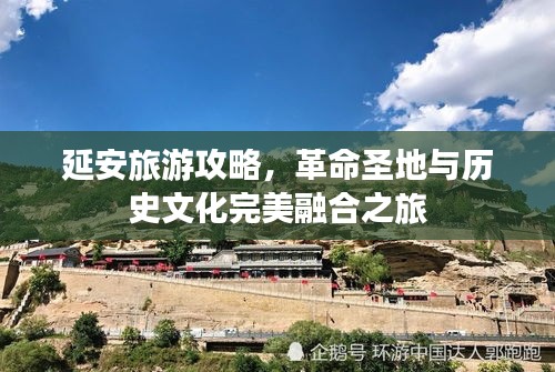 虫书鸟篆