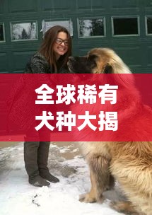 全球稀有犬种大揭秘，珍贵犬种排名榜单！