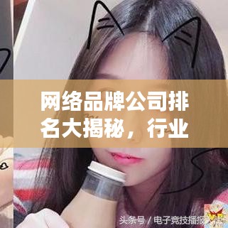 网络品牌公司排名大揭秘，行业领军者榜单