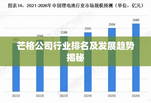 芒格公司行业排名及发展趋势揭秘