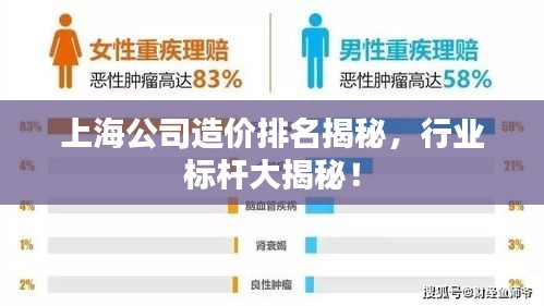 上海公司造价排名揭秘，行业标杆大揭秘！