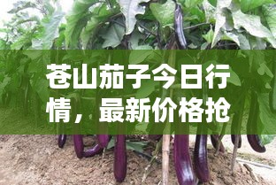 粗心大意