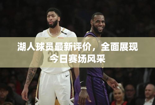 湖人球员最新评价，全面展现今日赛场风采