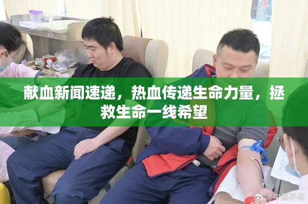 献血新闻速递，热血传递生命力量，拯救生命一线希望