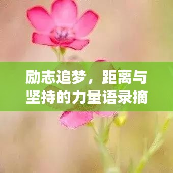 励志追梦，距离与坚持的力量语录摘抄