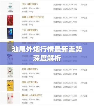 汕尾外烟行情最新走势深度解析