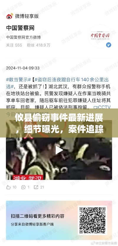 攸县偷窃事件最新进展，细节曝光，案件追踪报道