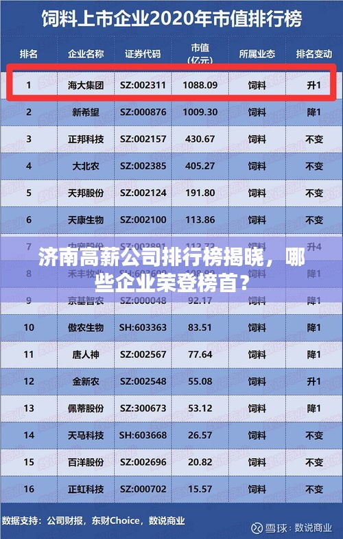 济南高薪公司排行榜揭晓，哪些企业荣登榜首？