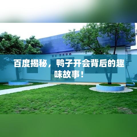 百度揭秘，鸭子开会背后的趣味故事！