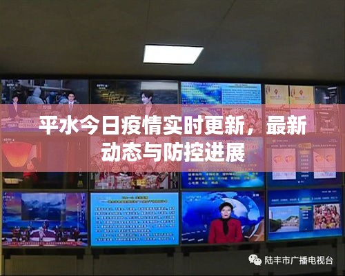 平水今日疫情实时更新，最新动态与防控进展